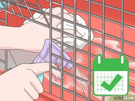 Image titled Treat Diarrhea in Rabbits Step 15