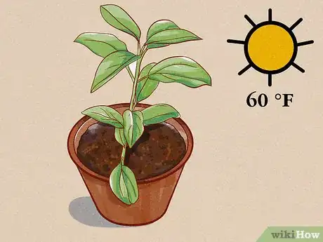 Image titled Make Cinnamon Step 1