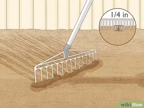 Image titled Grow Maca Step 9