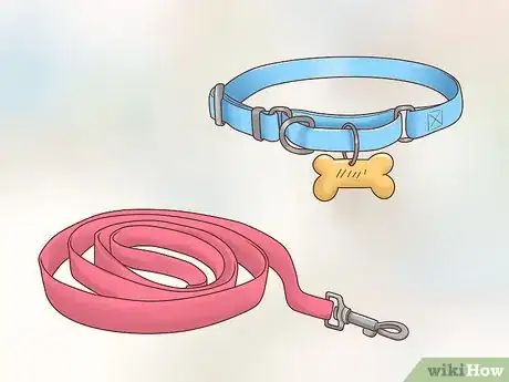 Image titled Care for a Border Collie Step 1