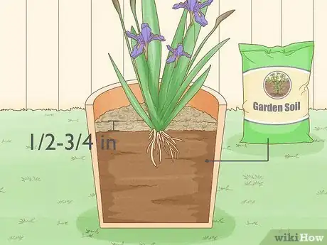 Image titled Grow a Container Garden Step 19