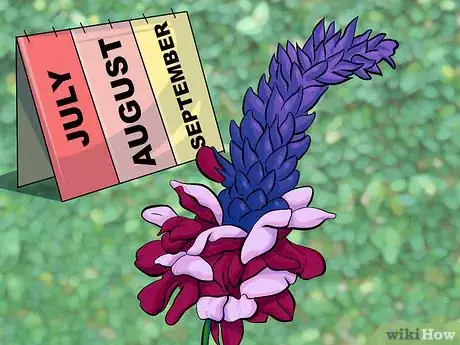 Image titled Eat Kudzu Step 2