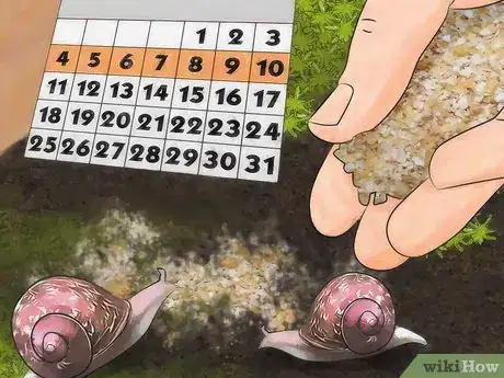 Image titled Eat an Insect or Arachnid Step 20