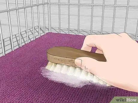 Image titled Introduce Pet Rats Step 7