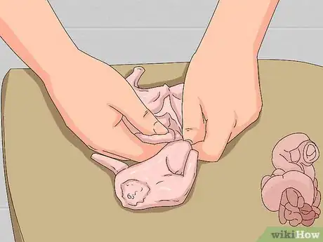 Image titled Skin a Squirrel Step 17