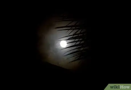 Image titled Photograph a Lunar Eclipse Step 6