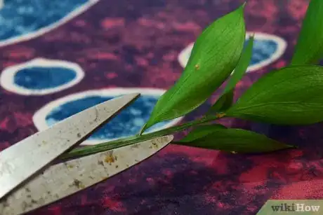 Image titled Arrange Flowers in a Large Vase Step 1