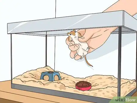 Image titled Keep a Gerbil Safe Around Other Pets Step 1