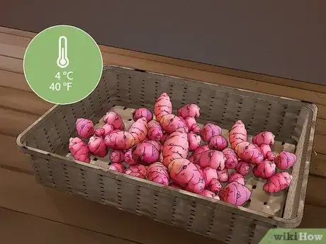 Image titled Grow Oca Step 13