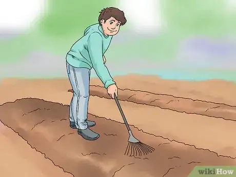 Image titled Grow Delphinium Step 19