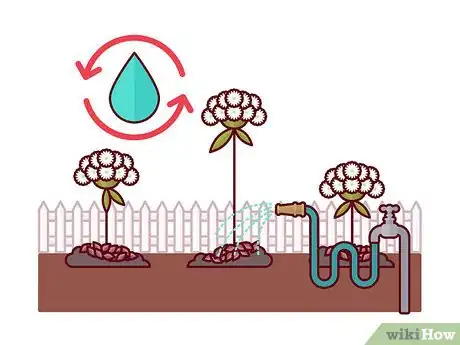 Image titled Grow Toothpick Weed Step 8