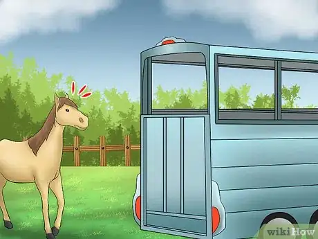 Image titled Load a Horse on a Trailer Step 10