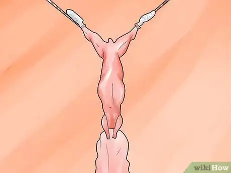 Image titled Skin a Rabbit Step 7