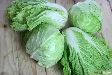 Image titled Cut a Cabbage Into Wedges Step 12