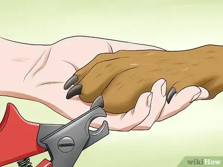 Image titled Prevent Arthritis in Dogs Step 7