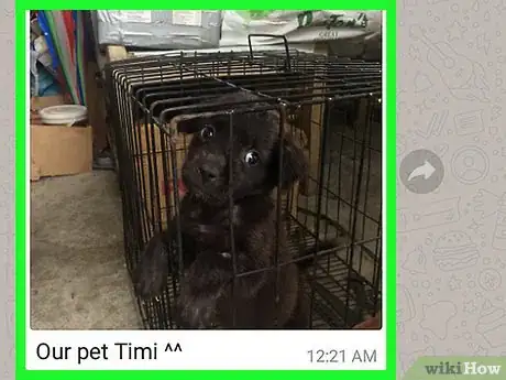 Image titled Download on WhatsApp Step 10