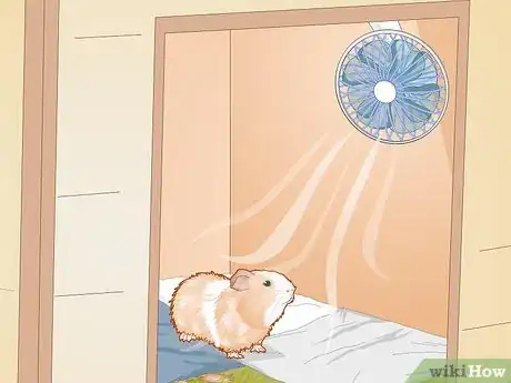 Image titled Care for an Outdoor Guinea Pig Step 27