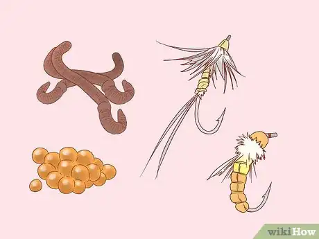 Image titled Fish at Night Step 3