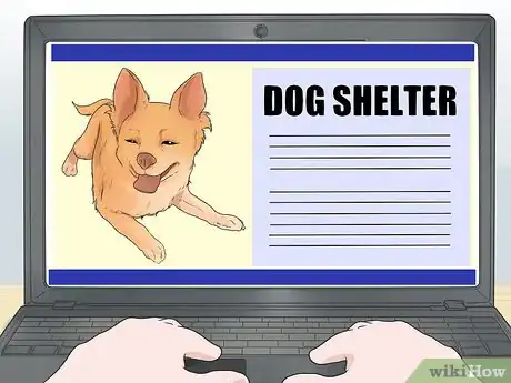 Image titled Adopt a Dog As an Unmarried Couple Step 5