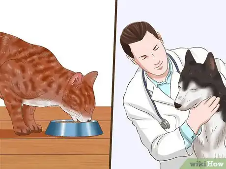 Image titled Protect Your Pets from Summertime Pests Step 25