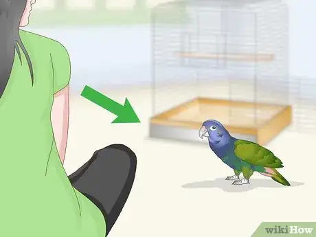 Image titled Bond with a Pionus Parrot Step 8