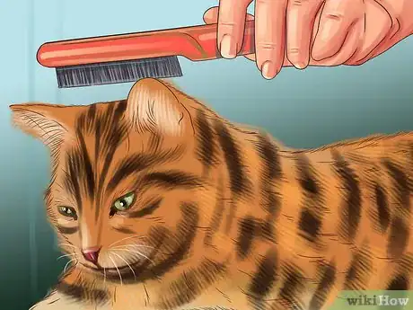 Image titled Protect Pets from Home Repair Dangers Step 11