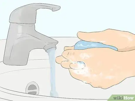 Image titled Care for Animals During the Coronavirus Outbreak Step 11