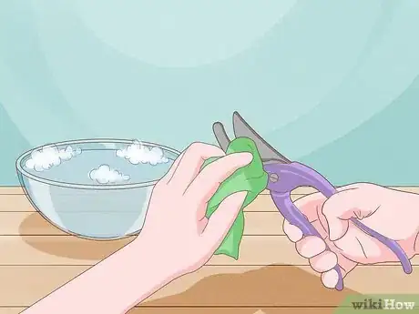 Image titled Prune Tea Roses Step 10