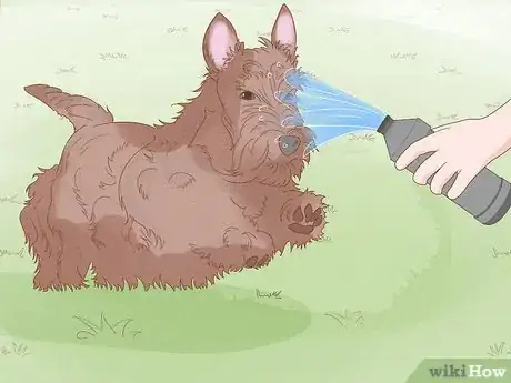 Image titled Prevent Dog Fights Step 18
