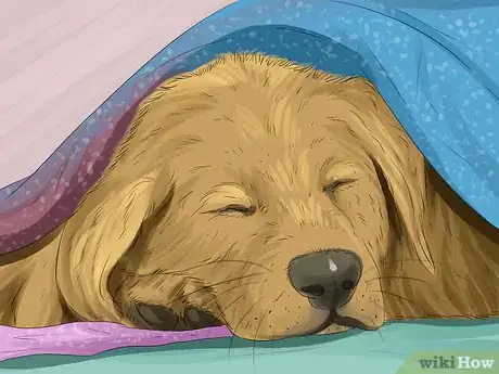 Image titled Keep Your Pets Safe in Winter Step 6