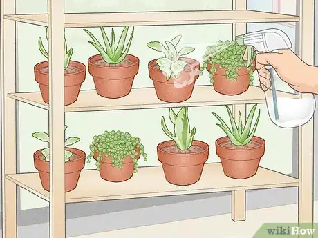 Image titled Make a Mini Garden in Your Room Step 12