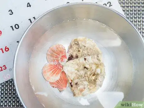 Image titled Clean and Polish Seashells Step 7