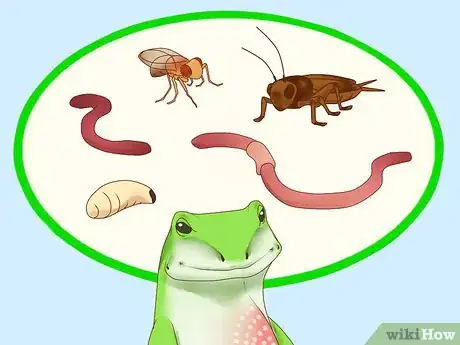 Image titled Feed a Lizard Step 6