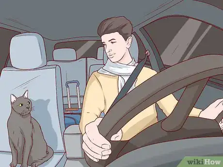 Image titled Take Care of a Chartreux Cat Step 14