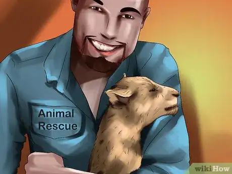 Image titled Choose a Vacation Destination for Animal Lovers Step 5