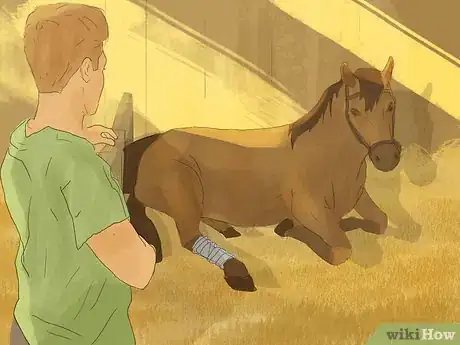 Image titled Hand Walk an Injured Horse Step 6