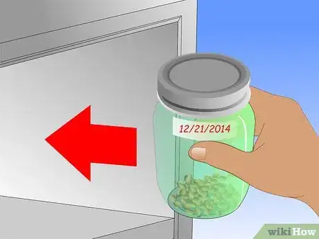 Image titled Save Watermelon Seeds for Planting Step 10