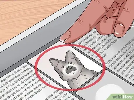 Image titled Find Dogs Needing to Be Rehomed Step 1