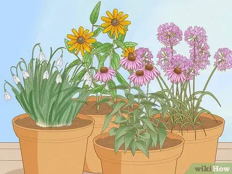 Image titled How Do Insects Help a Plant to Reproduce Step 10