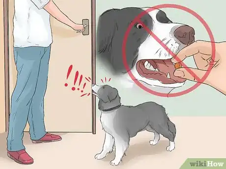 Image titled Identify and Correct Unwanted Dog Behaviors Step 4