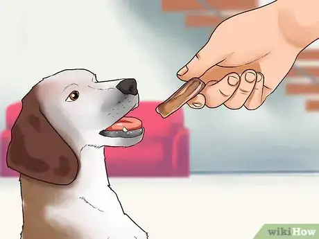 Image titled Socialize a New Dog with Your Family Step 4