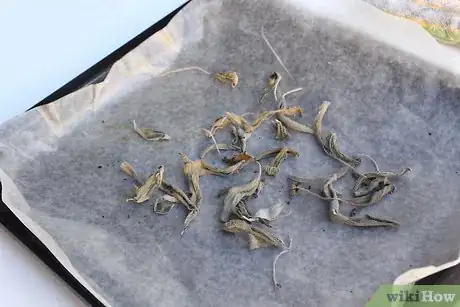 Image titled Dry Sage Step 24