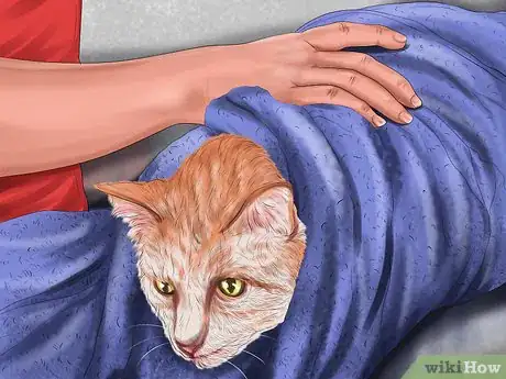 Image titled Bathe an Angry Cat With Minimal Damage Step 9