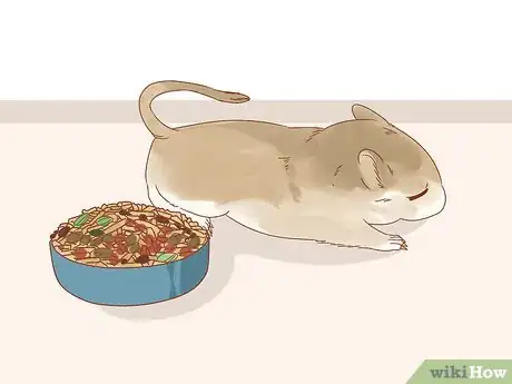 Image titled Diagnose Heart Failure in Gerbils Step 6