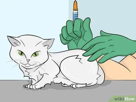 Image titled Prevent Feline Upper Respiratory Illness Step 1
