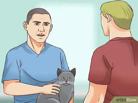 Image titled Treat Obesity in Cats Step 1