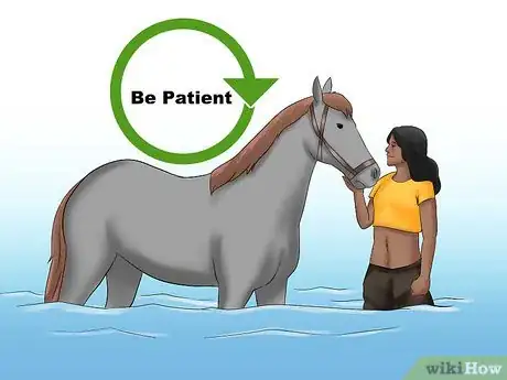 Image titled Train a Horse to Walk Through Water Step 11