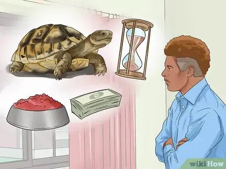 Image titled Buy a Turtle Step 17