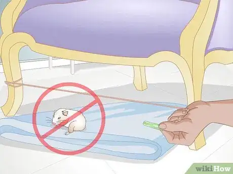 Image titled Train a Hamster or a Mouse to Walk on a Tightrope Step 11