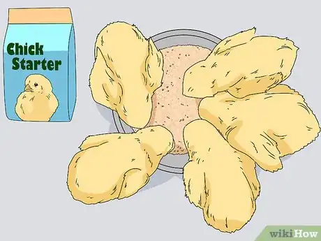 Image titled Promote Egg Laying in Hens Step 1